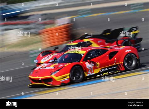 af corse 2023